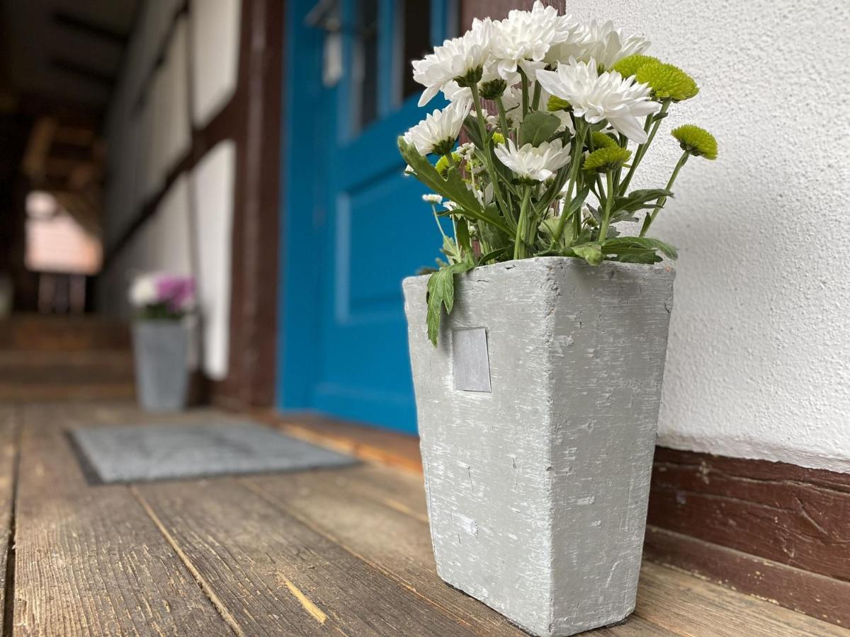 Traumhaft Wohnen Im Haus Blum Apartment Herbolzheim Ngoại thất bức ảnh