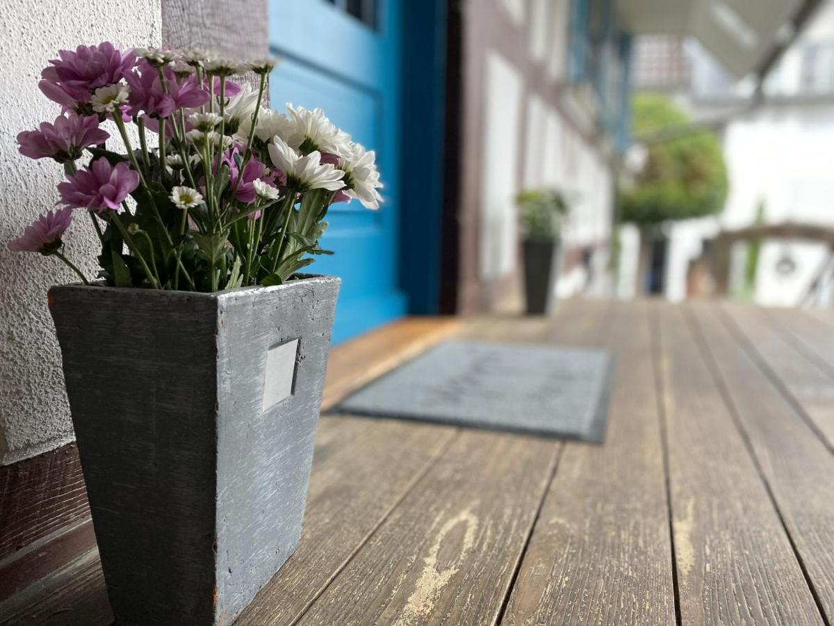 Traumhaft Wohnen Im Haus Blum Apartment Herbolzheim Ngoại thất bức ảnh