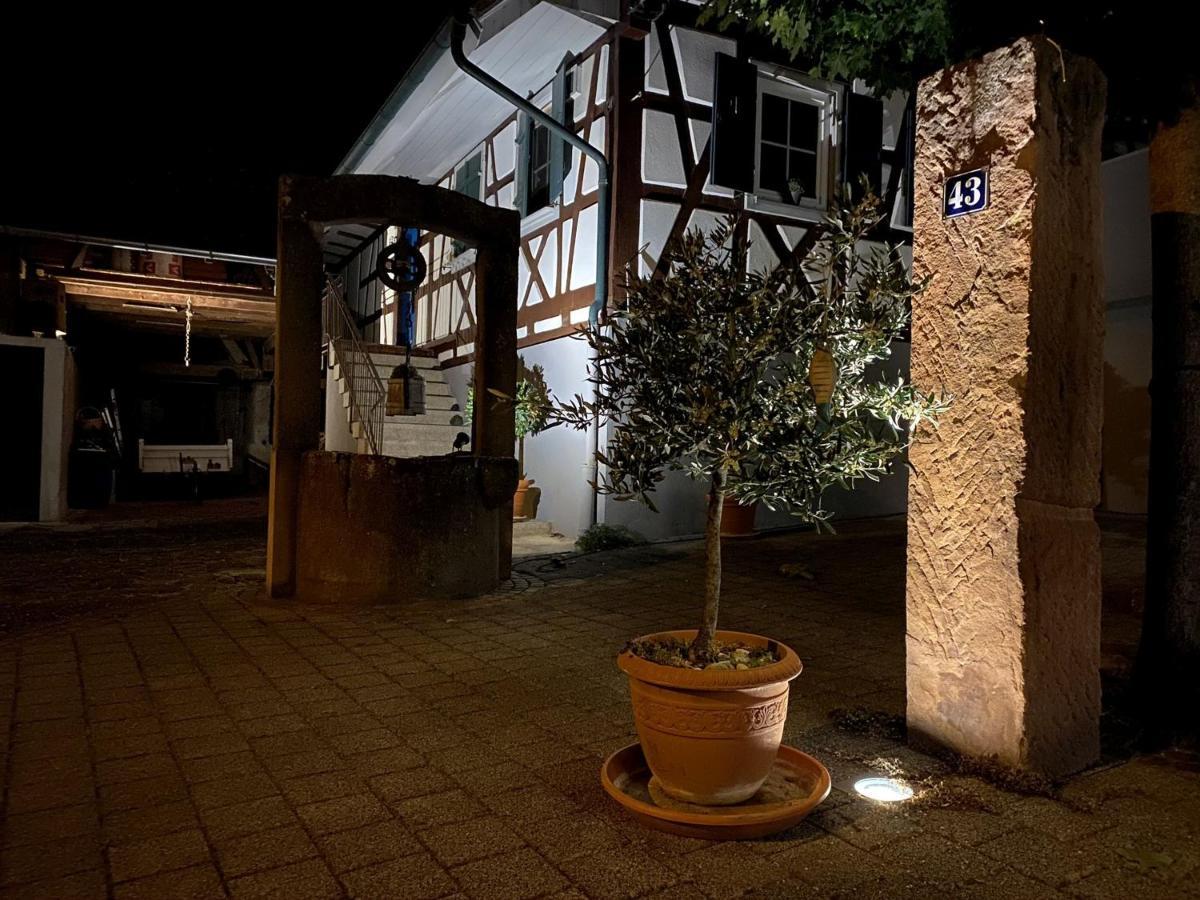 Traumhaft Wohnen Im Haus Blum Apartment Herbolzheim Ngoại thất bức ảnh